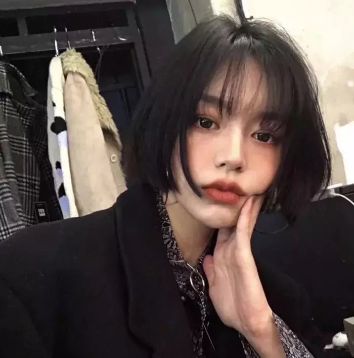 暴龙真相